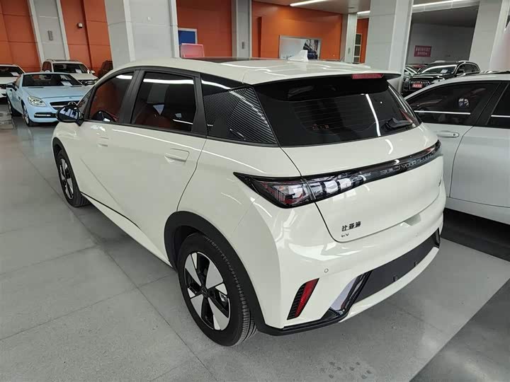 Фото 5 - BYD Dolphin