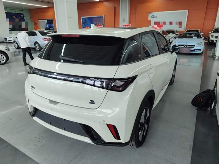 Фото 7 - BYD Dolphin