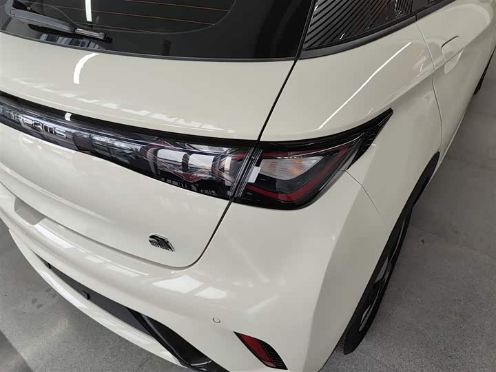 Фото 8 - BYD Dolphin