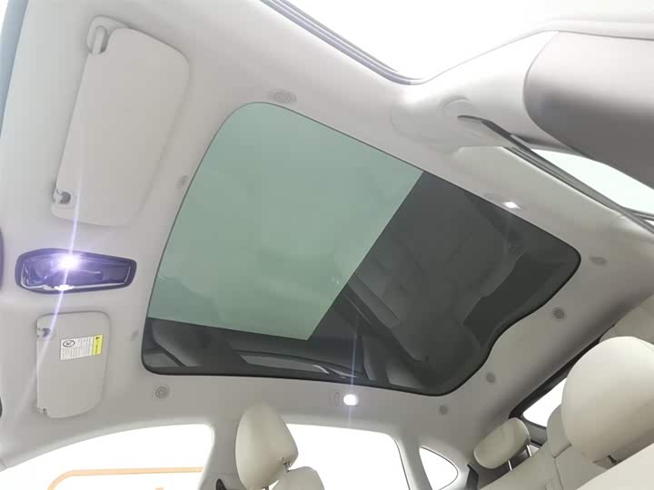 Фото 14 - IM motors LS6