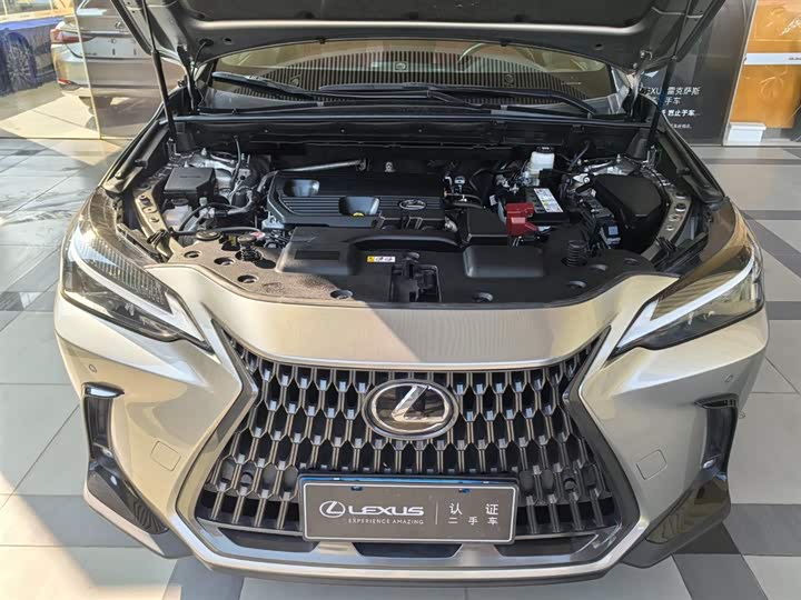 Фото 4 - Lexus NX
