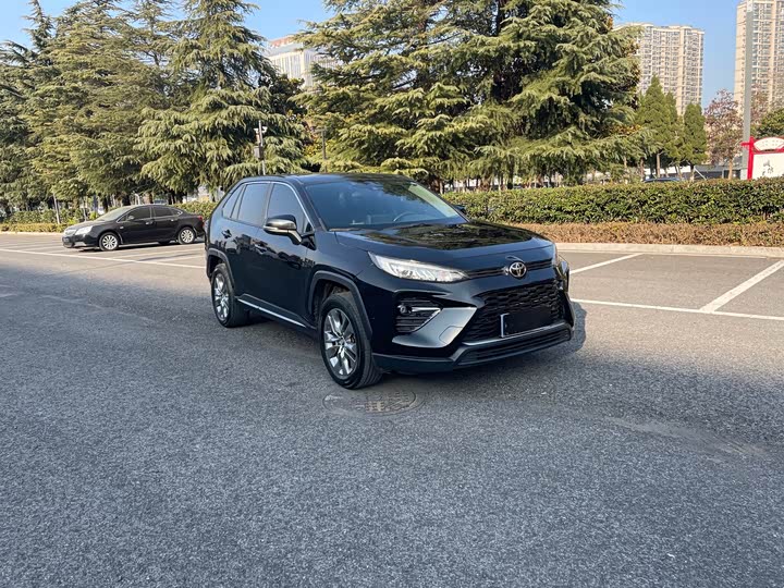 Фото 3 - Toyota Wildlander