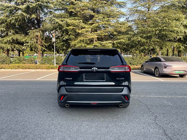 Фото 4 - Toyota Wildlander