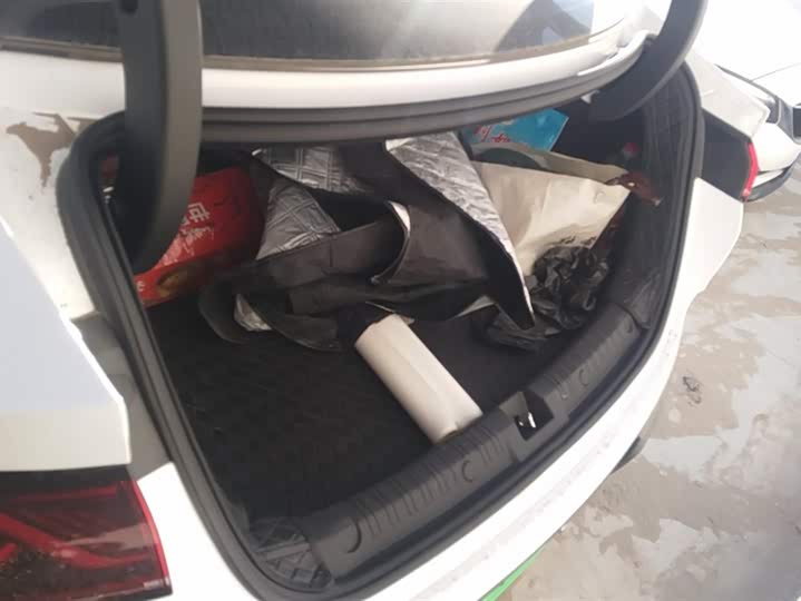 Фото 4 - BYD Qin Plus