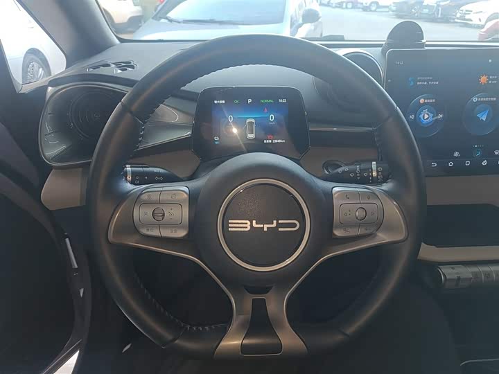 Фото 11 - BYD Dolphin