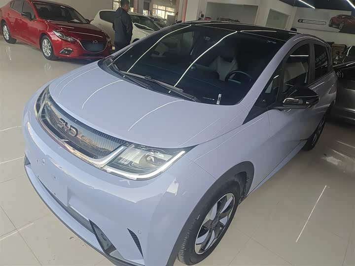 Фото 2 - BYD Dolphin