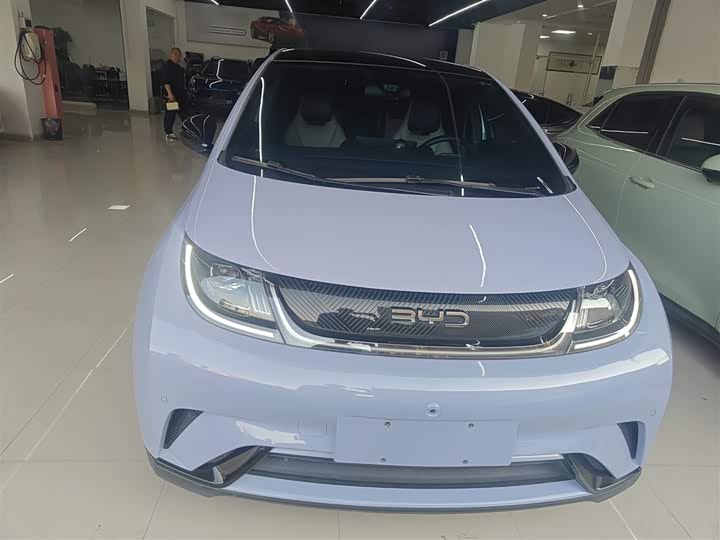 Фото 3 - BYD Dolphin