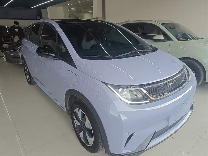 Фото 4 - BYD Dolphin