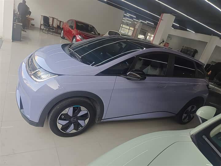 Фото 5 - BYD Dolphin