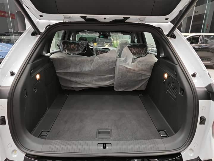 Фото 21 - Hongqi EHS7 (Tiangong 08)