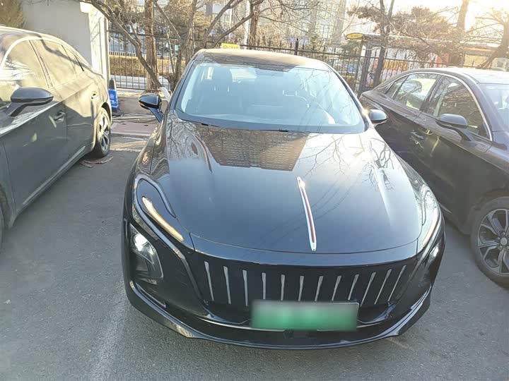 Фото 3 - Hongqi E-QM5