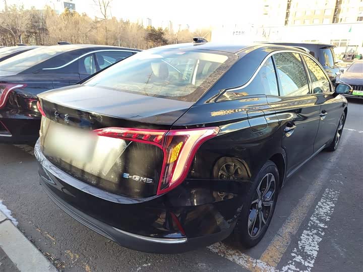 Фото 7 - Hongqi E-QM5