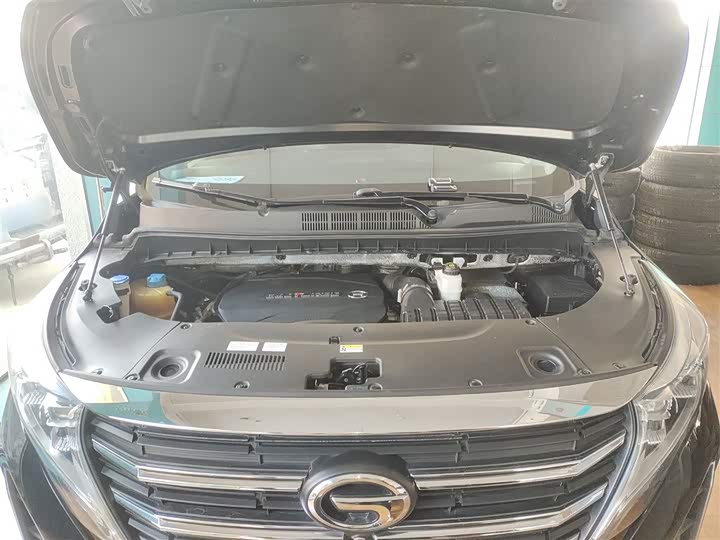 Фото 20 - GAC Trumpchi M8