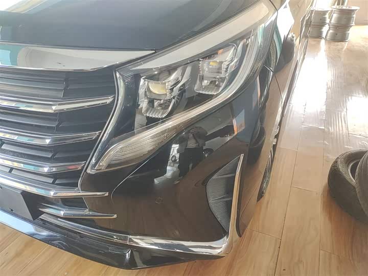 Фото 24 - GAC Trumpchi M8