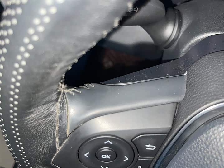 Фото 12 - Toyota Wildlander