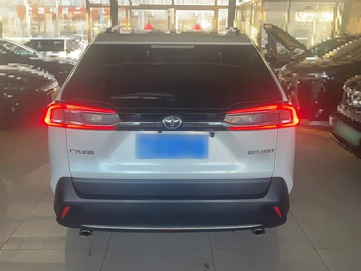 Фото 6 - Toyota Wildlander