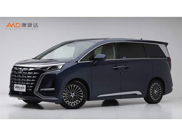 Фото 1 - Denza D9