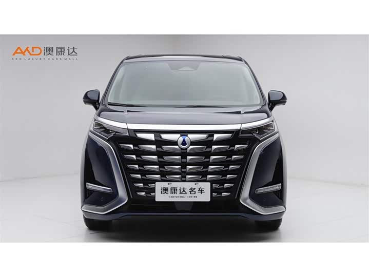 Фото 2 - Denza D9