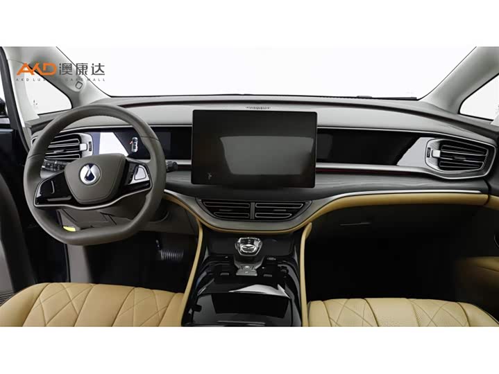 Фото 5 - Denza D9