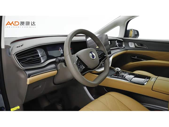 Фото 6 - Denza D9