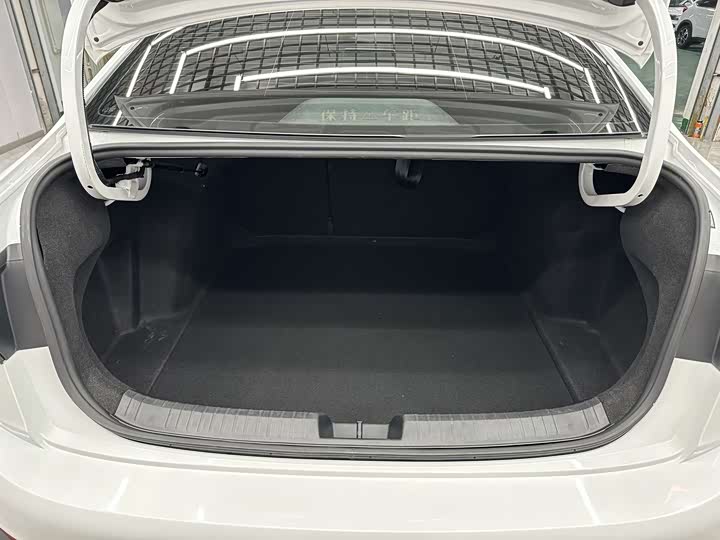 Фото 16 - Volkswagen Sagitar L