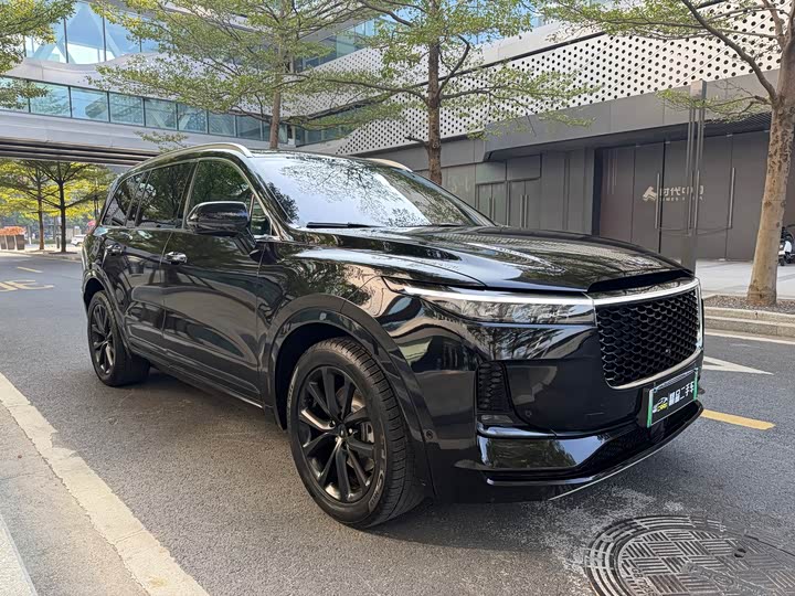 Фото 3 - LiXiang One