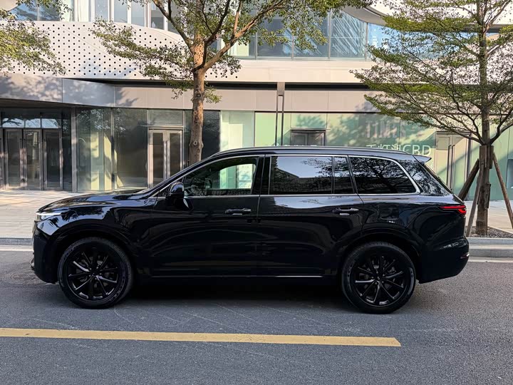 Фото 4 - LiXiang One