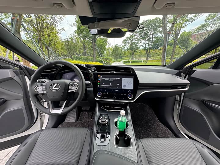 Фото 10 - Lexus RZ