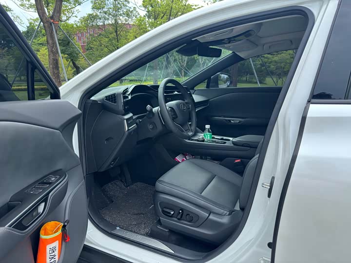 Фото 6 - Lexus RZ