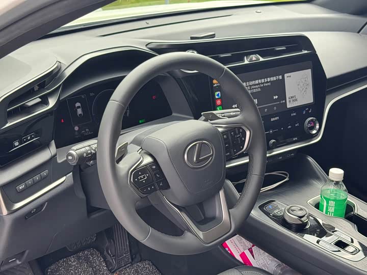 Фото 8 - Lexus RZ