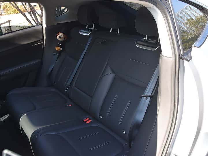 Фото 11 - XPeng G6