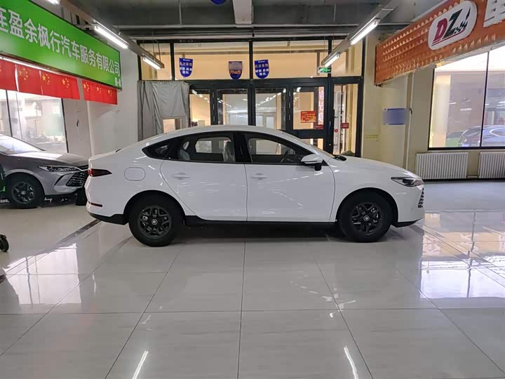 Фото 5 - BYD Qin Plus