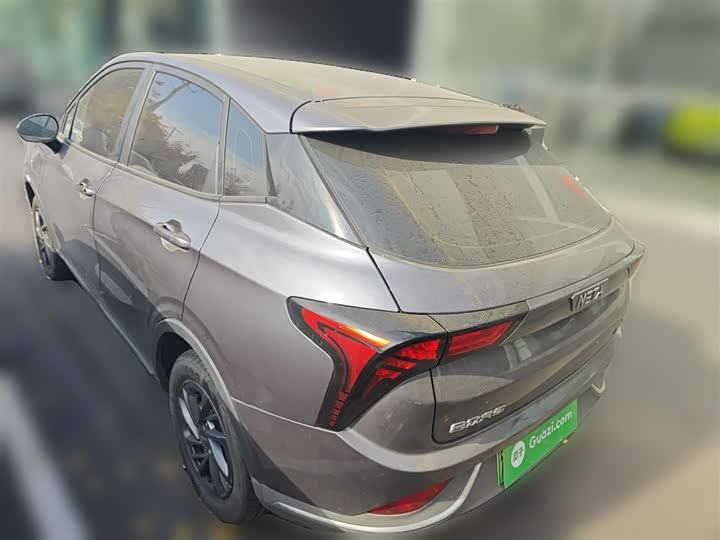 Фото 27 - Hozon V