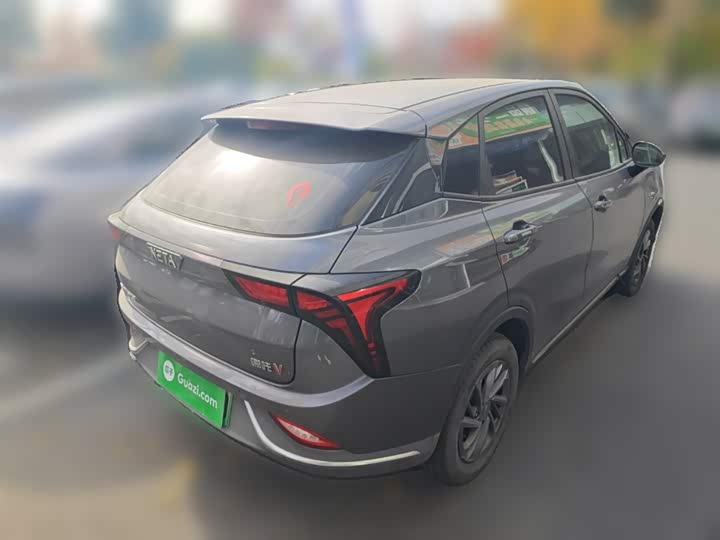 Фото 29 - Hozon V