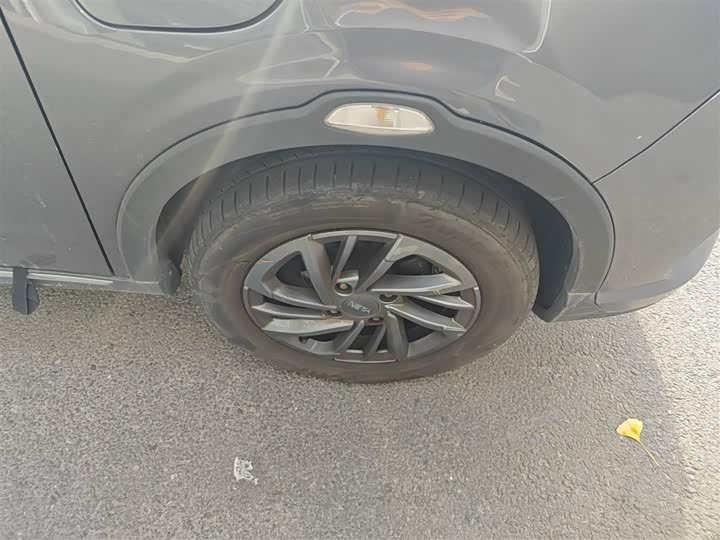 Фото 31 - Hozon V