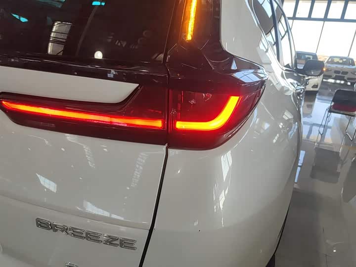 Фото 8 - Honda Breeze