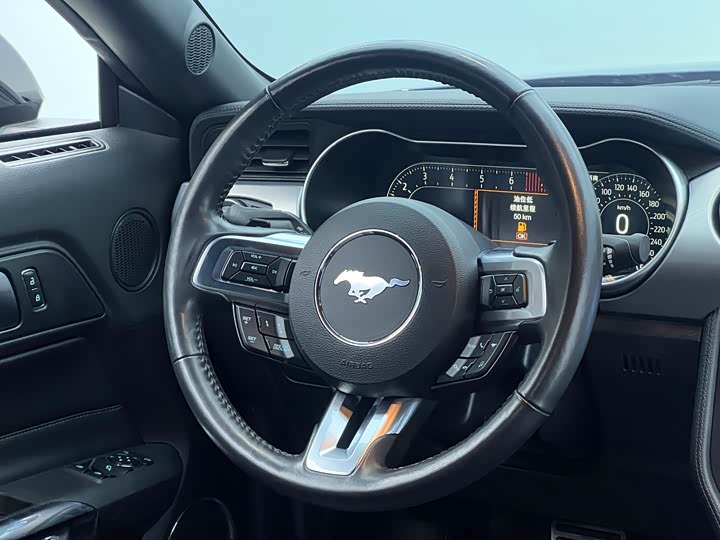 Фото 25 - Ford Mustang