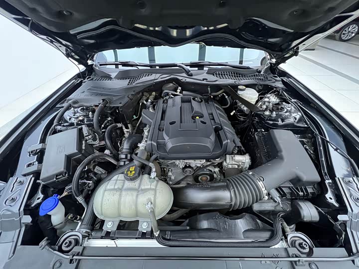 Фото 26 - Ford Mustang