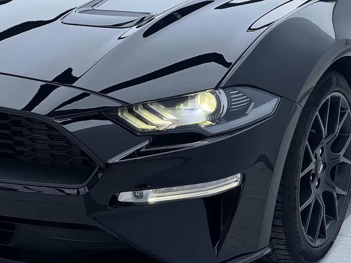 Фото 6 - Ford Mustang