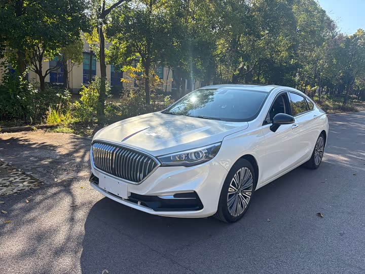 Фото 3 - Hongqi H5