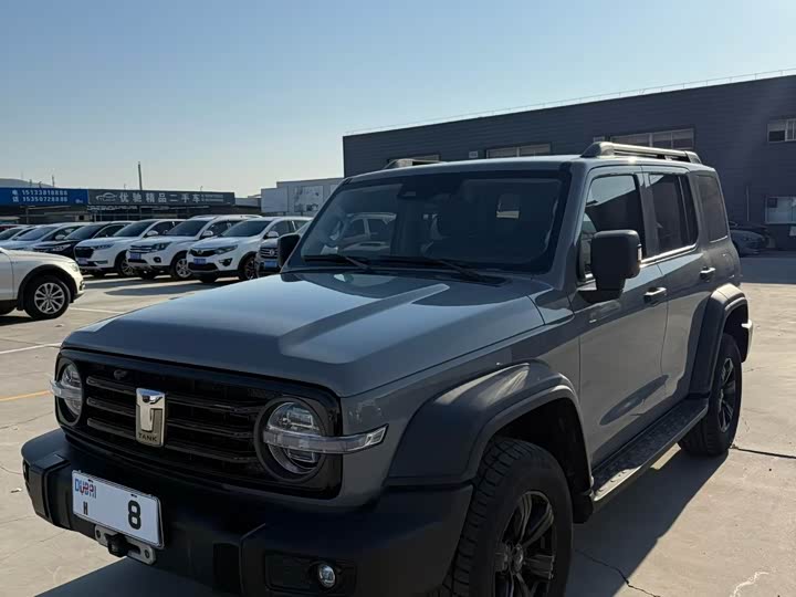 Фото 1 - Tank 300