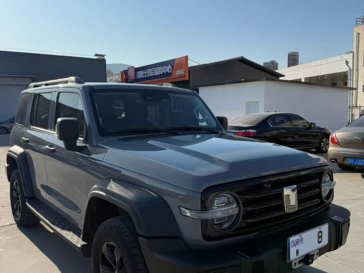 Фото 2 - Tank 300