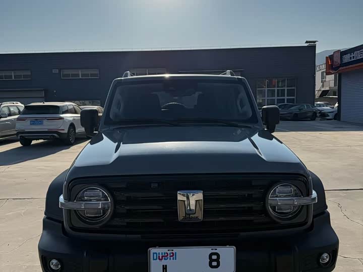 Фото 3 - Tank 300