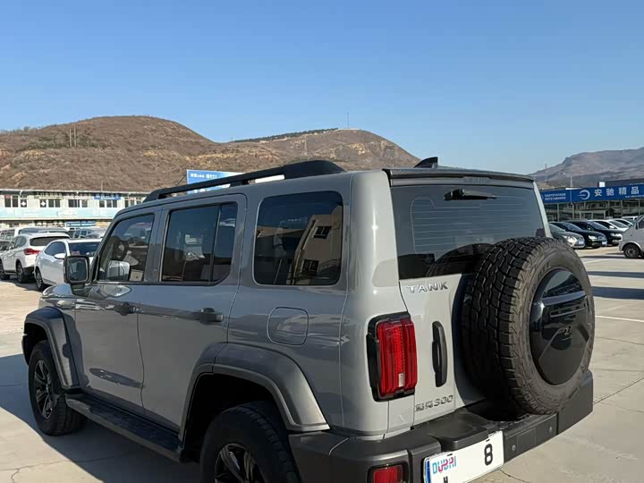 Фото 7 - Tank 300