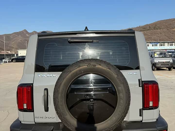 Фото 8 - Tank 300