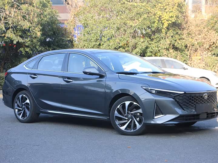 Фото 2 - Changan Raeton Plus