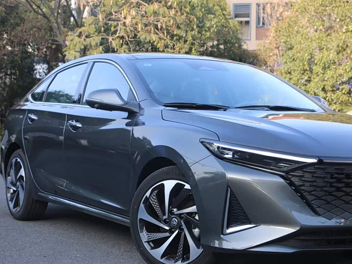 Фото 3 - Changan Raeton Plus