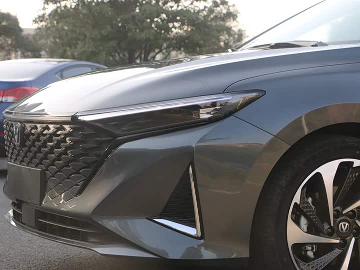 Фото 4 - Changan Raeton Plus