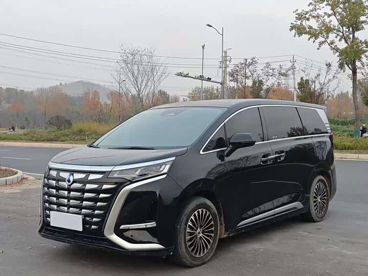 Фото 1 - Denza D9