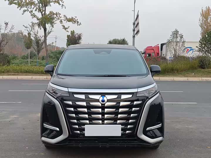 Фото 2 - Denza D9